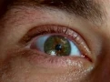 Eyes