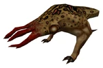 Bullsquid hl1.jpg