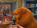 02 Bear's Microscope.jpg