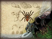 Thumb Spider Artwork
