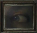 Portrait of an eye