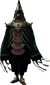Zant