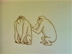 2356-19