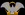 Krynn Flag