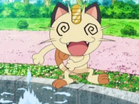 EP582 Meowth confundido