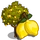 Lemon Tree-icon