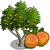 Apricot Tree-icon.png