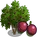 Passion Fruit Tree-icon