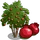Pomegranate Tree-icon