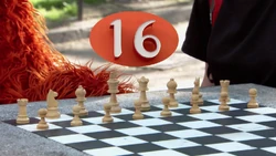 Murray16