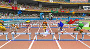 Olympic daisy