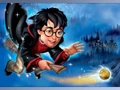 Harry-Potter-0036.jpg