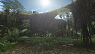 NewJungle