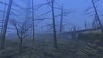 SwampForest