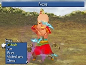 FFIVDS Focus