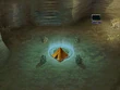 FFIVDS Tent