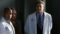 9x7 whitecoat3