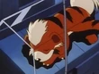 EP030 Growlithe