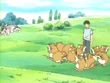 EP033 Raticate