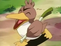 EP049 Farfetch'd (2)