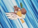 EP049 Farfetch'd (6)