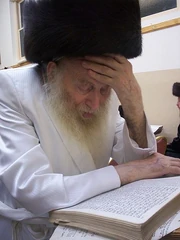 Rabbiofzidichov