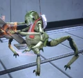 Keeper Facing Left.jpg
