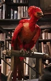 Phoenix.jpg