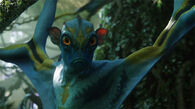 Prolemuris