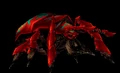Azerothian Fire Beetle