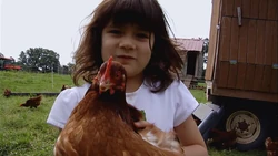 StoneBarnsChickens