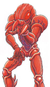 Smart torizo02