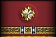 Sleeve insignia.