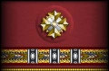 Uniform insignia.