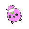 Igglybuff plata variocolor