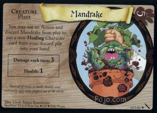 Mandrake Harry Potter