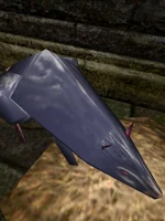 Large Silver Rat Live