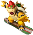 Bowser MSOWG