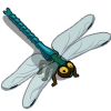 Dragonfly-icon.png