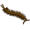 Centipede-icon.png