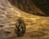 NPC-MouseMouse