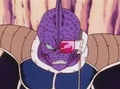 Chopsui