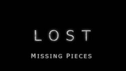 MissingPieces