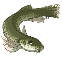 Timloach.png