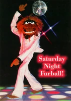 SaturdayNightFurball