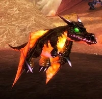 Black Dragon Whelpling
