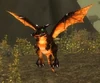 Wyrmcult Broodling