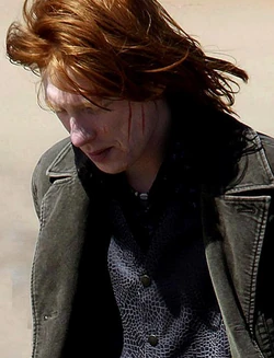 Bill weasleyDH