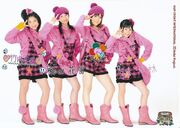 Minimonishin