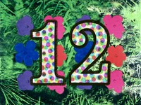 Marty12Flowers